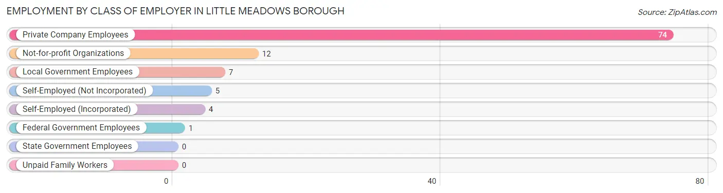 Employment by Class of Employer in Little Meadows borough