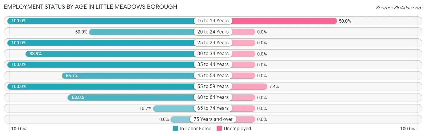Employment Status by Age in Little Meadows borough