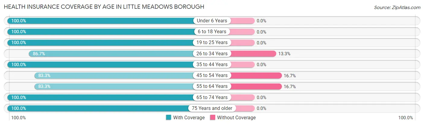 Health Insurance Coverage by Age in Little Meadows borough