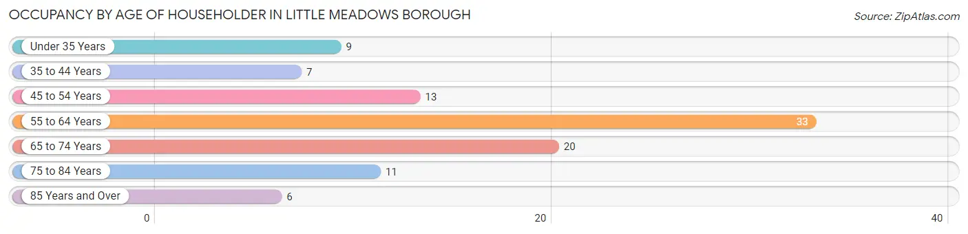 Occupancy by Age of Householder in Little Meadows borough