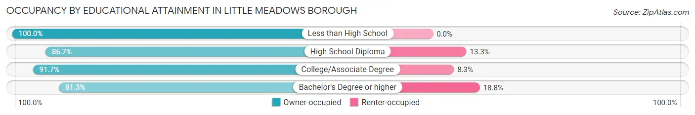 Occupancy by Educational Attainment in Little Meadows borough