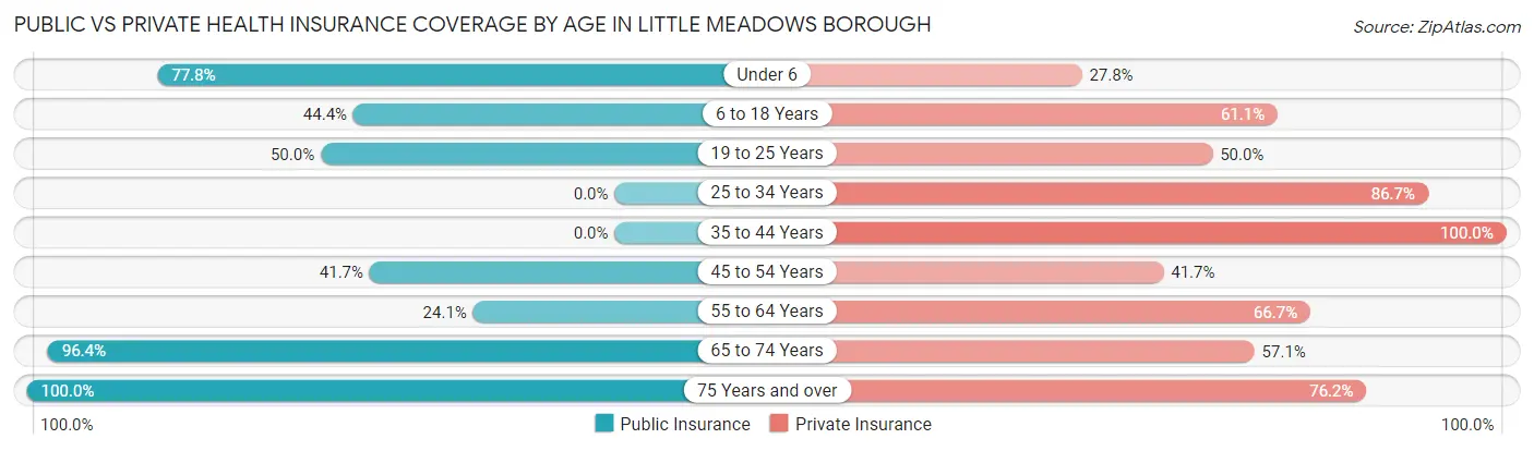 Public vs Private Health Insurance Coverage by Age in Little Meadows borough