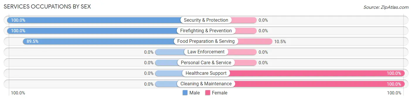 Services Occupations by Sex in Little Meadows borough