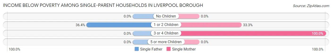 Income Below Poverty Among Single-Parent Households in Liverpool borough