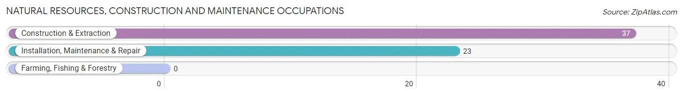 Natural Resources, Construction and Maintenance Occupations in Liverpool borough