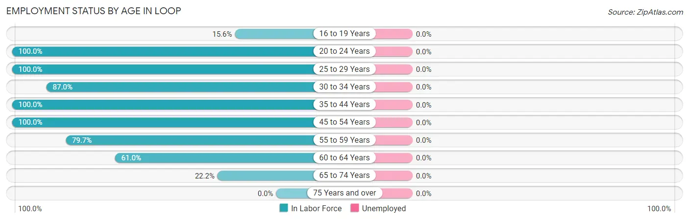 Employment Status by Age in Loop