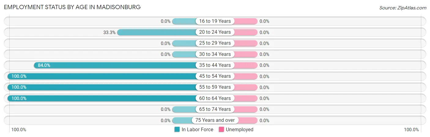 Employment Status by Age in Madisonburg