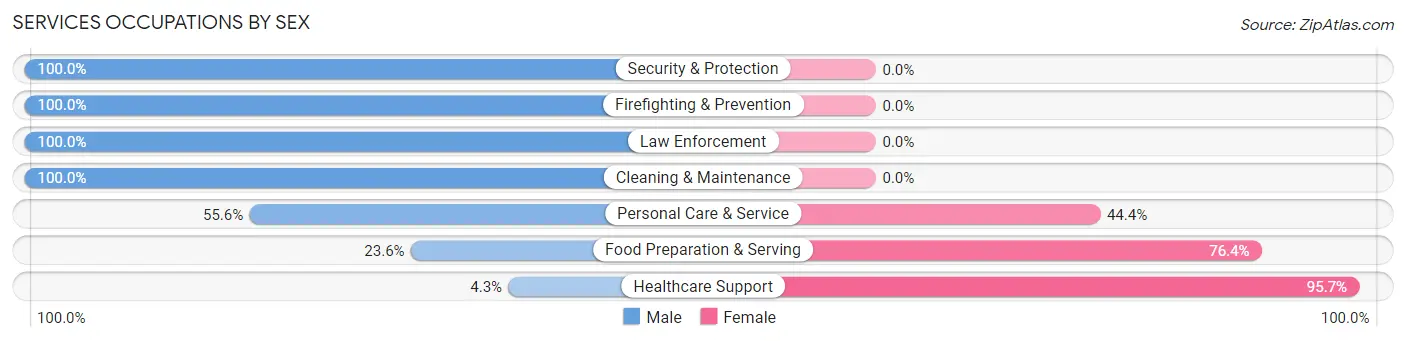 Services Occupations by Sex in Mahanoy City borough