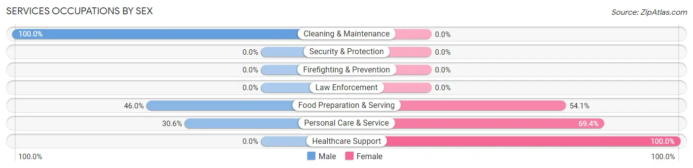 Services Occupations by Sex in Malvern borough