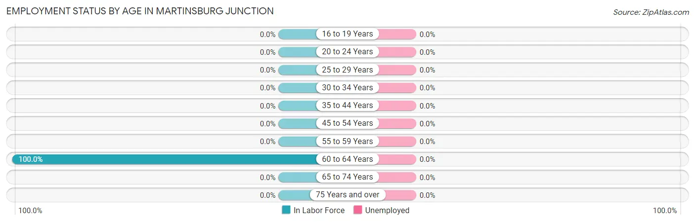 Employment Status by Age in Martinsburg Junction