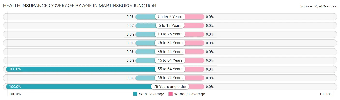 Health Insurance Coverage by Age in Martinsburg Junction