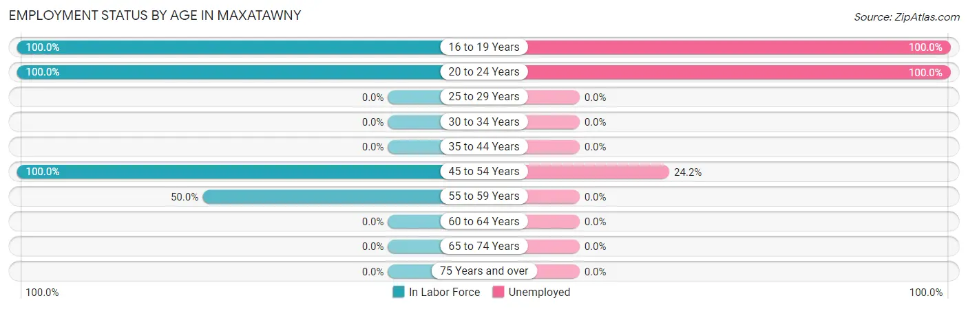 Employment Status by Age in Maxatawny