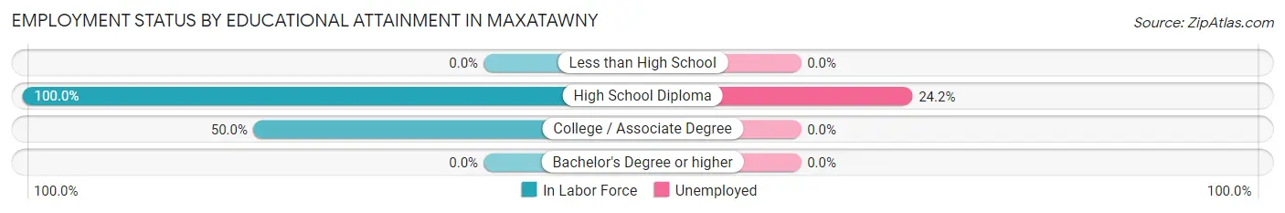 Employment Status by Educational Attainment in Maxatawny