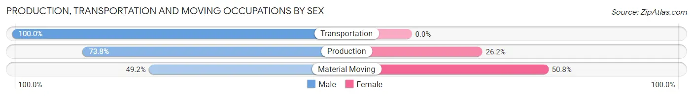 Production, Transportation and Moving Occupations by Sex in McAdoo borough