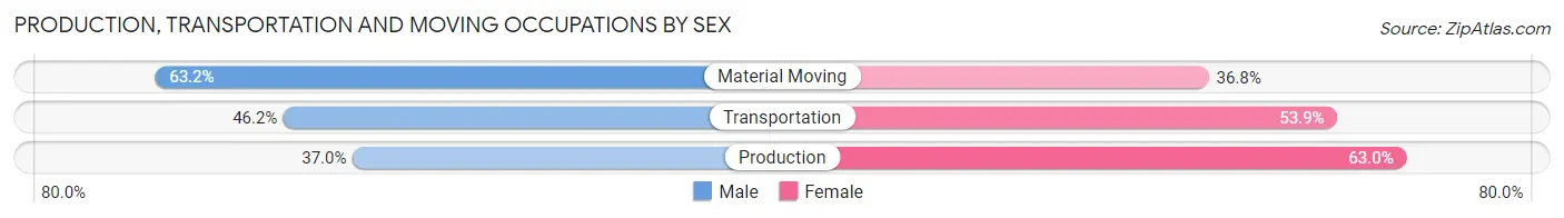 Production, Transportation and Moving Occupations by Sex in McElhattan
