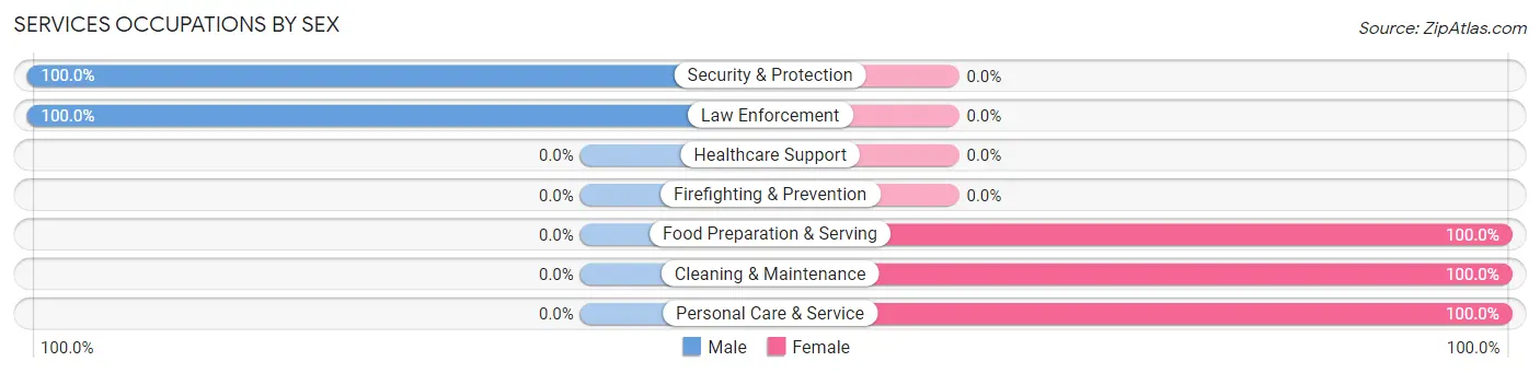 Services Occupations by Sex in McElhattan