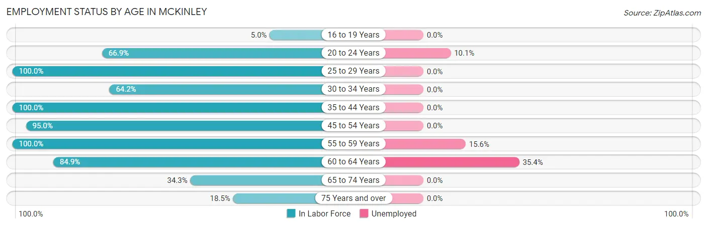 Employment Status by Age in McKinley