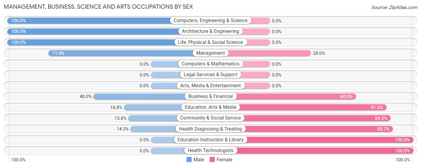 Management, Business, Science and Arts Occupations by Sex in McVeytown borough