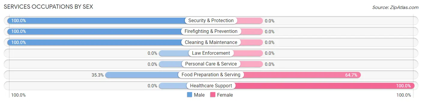 Services Occupations by Sex in McVeytown borough
