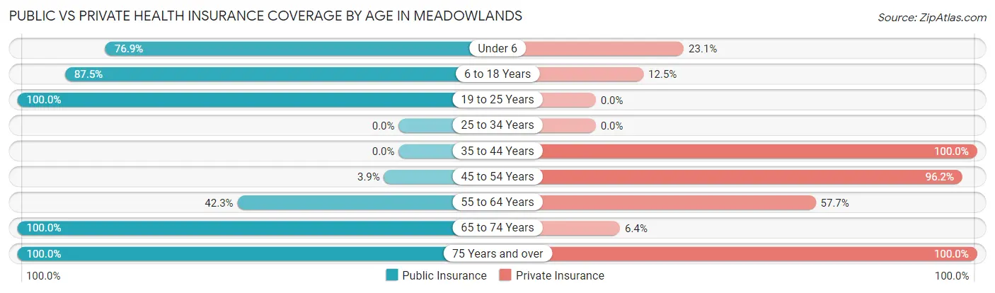 Public vs Private Health Insurance Coverage by Age in Meadowlands