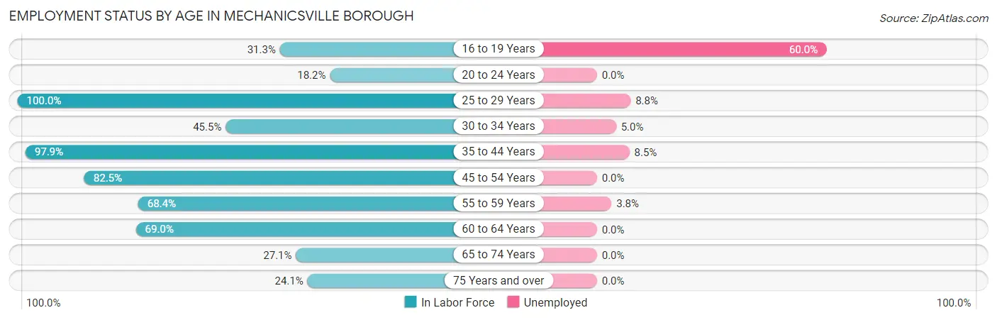 Employment Status by Age in Mechanicsville borough