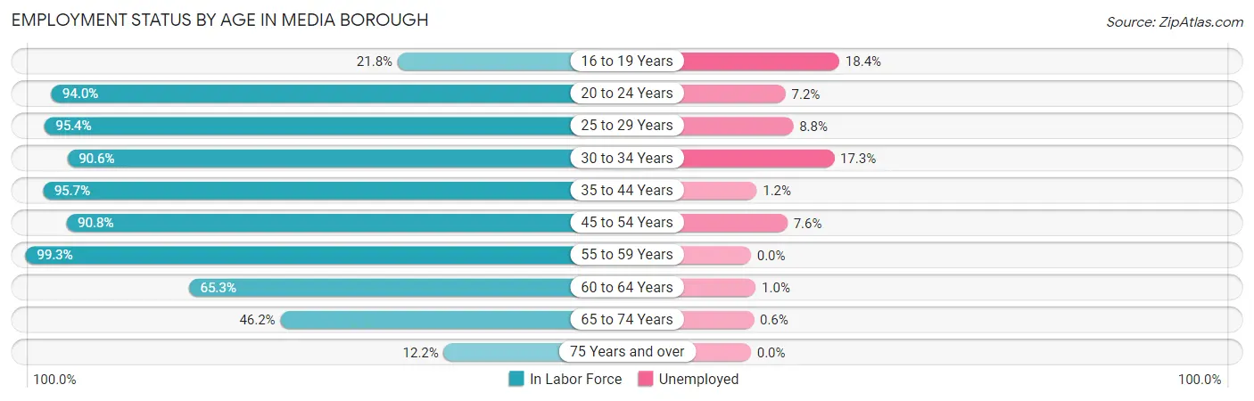 Employment Status by Age in Media borough