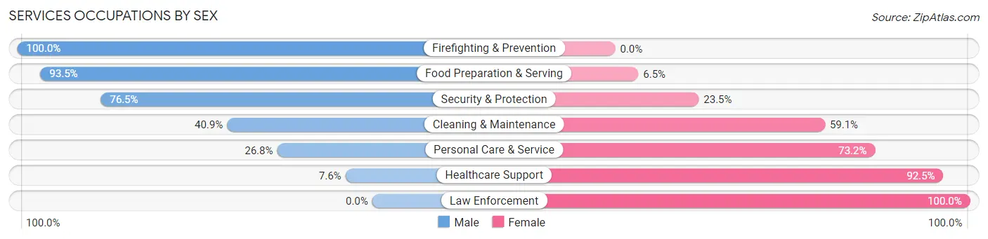 Services Occupations by Sex in Media borough