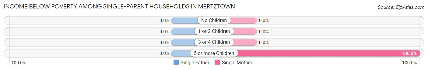 Income Below Poverty Among Single-Parent Households in Mertztown