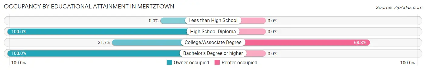 Occupancy by Educational Attainment in Mertztown