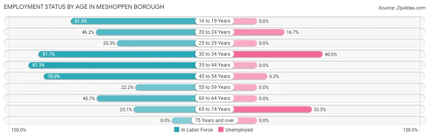 Employment Status by Age in Meshoppen borough