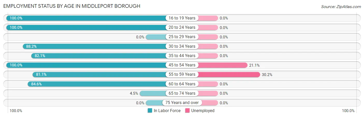 Employment Status by Age in Middleport borough