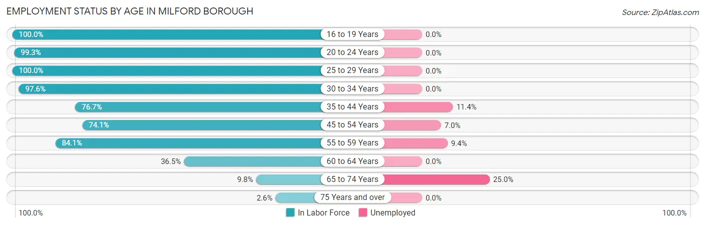 Employment Status by Age in Milford borough