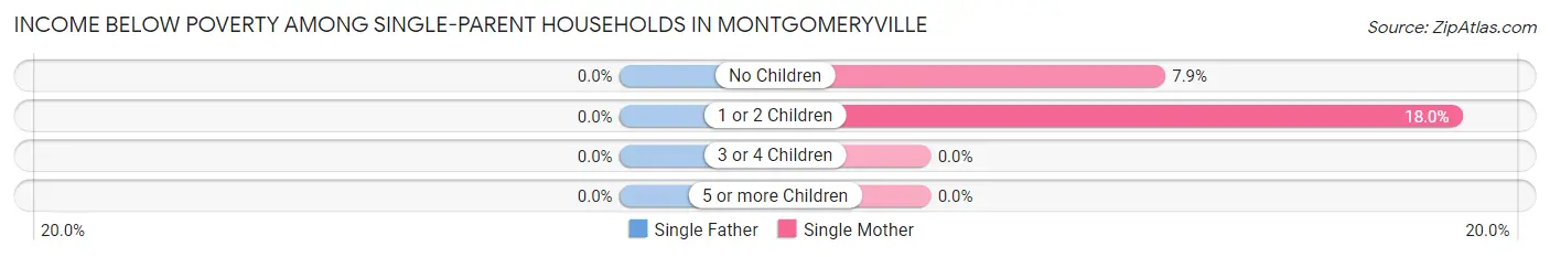 Income Below Poverty Among Single-Parent Households in Montgomeryville
