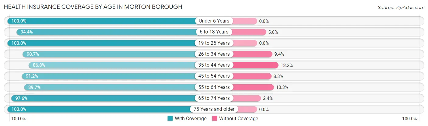 Health Insurance Coverage by Age in Morton borough