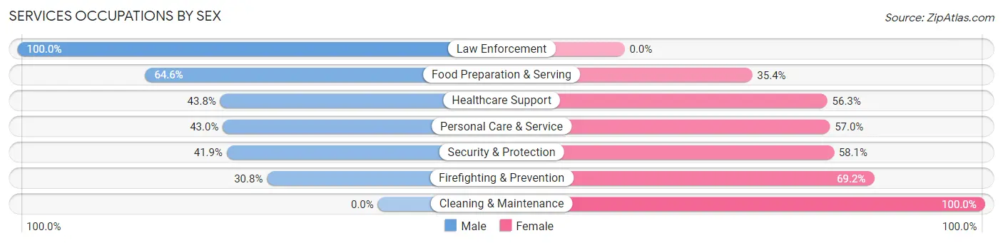 Services Occupations by Sex in Morton borough