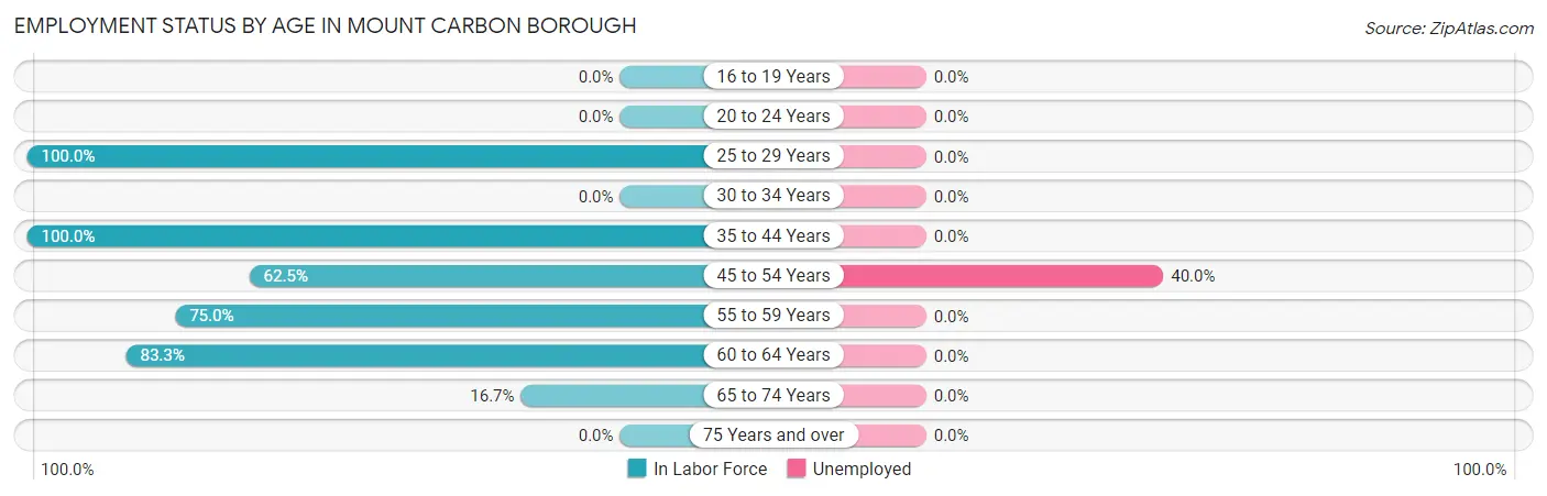 Employment Status by Age in Mount Carbon borough