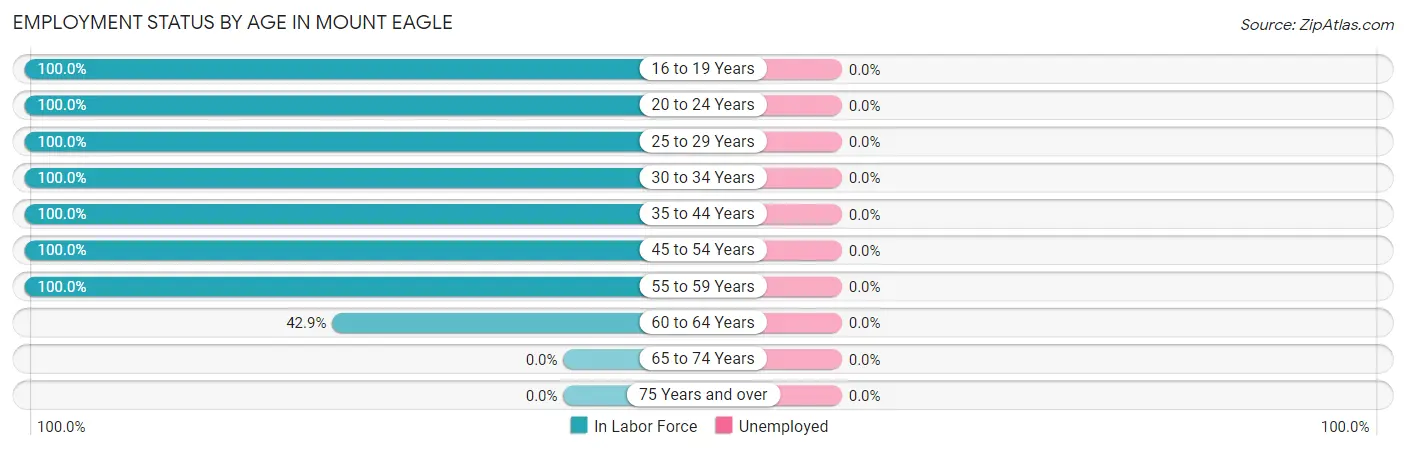 Employment Status by Age in Mount Eagle