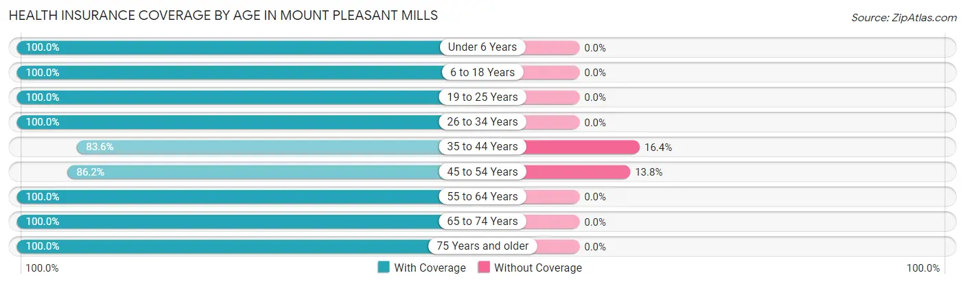 Health Insurance Coverage by Age in Mount Pleasant Mills