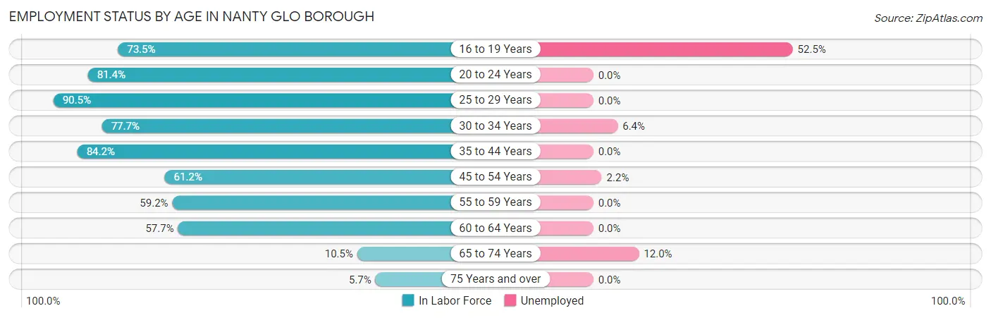 Employment Status by Age in Nanty Glo borough