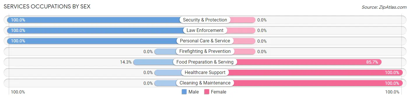 Services Occupations by Sex in New Alexandria borough