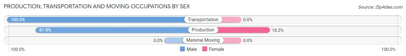 Production, Transportation and Moving Occupations by Sex in New Berlinville