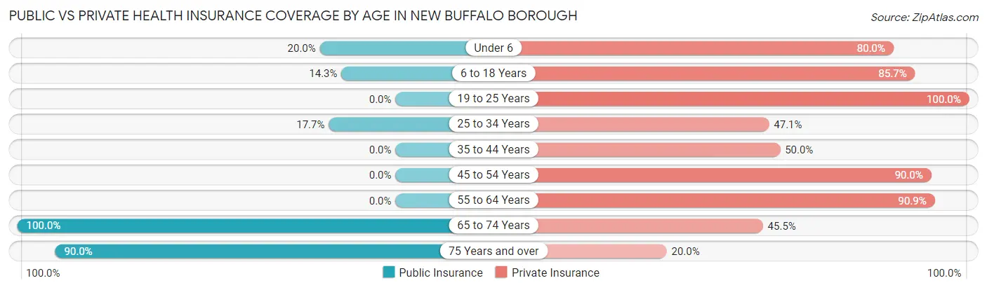 Public vs Private Health Insurance Coverage by Age in New Buffalo borough