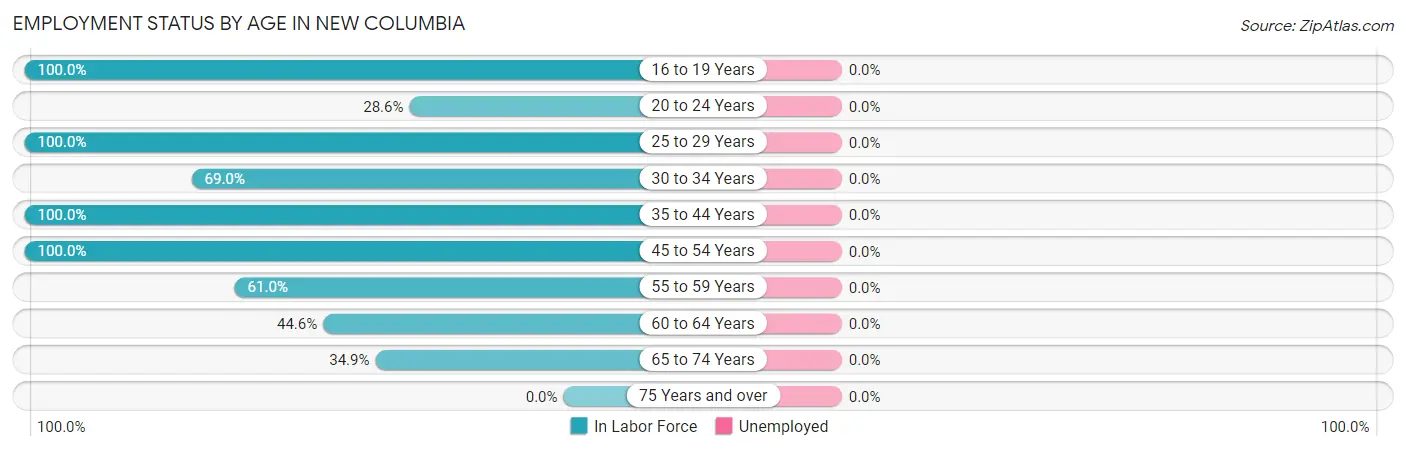 Employment Status by Age in New Columbia