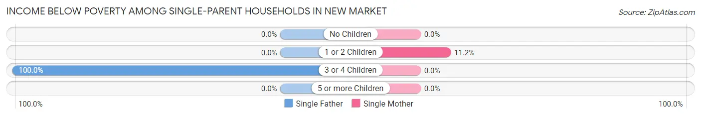 Income Below Poverty Among Single-Parent Households in New Market