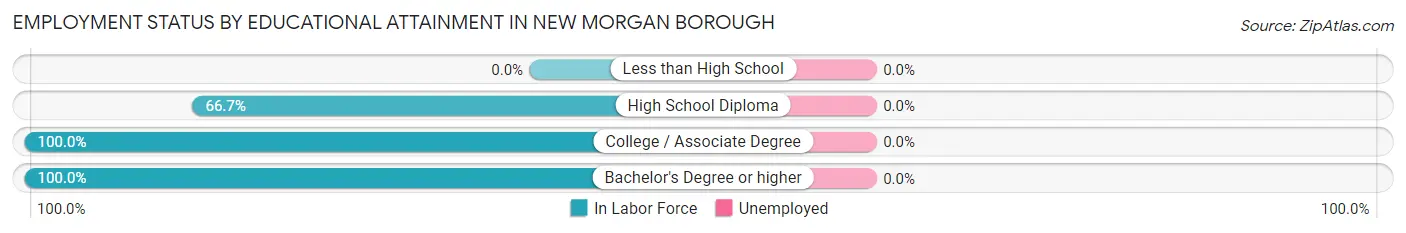 Employment Status by Educational Attainment in New Morgan borough