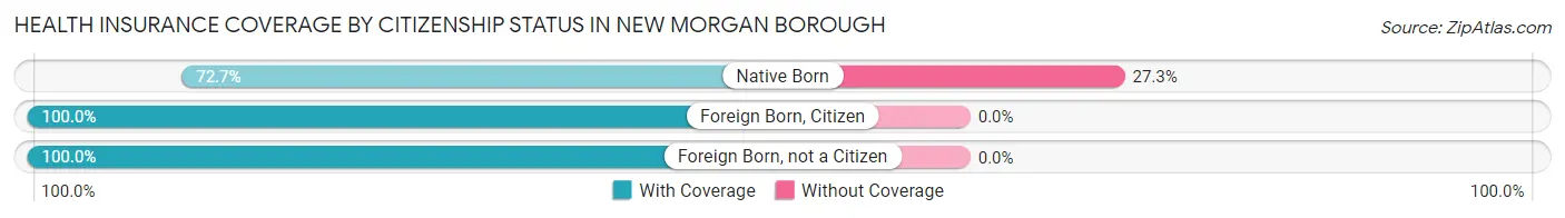 Health Insurance Coverage by Citizenship Status in New Morgan borough