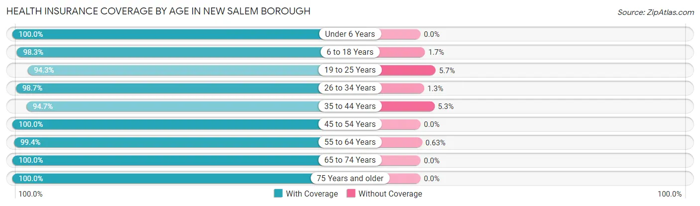 Health Insurance Coverage by Age in New Salem borough