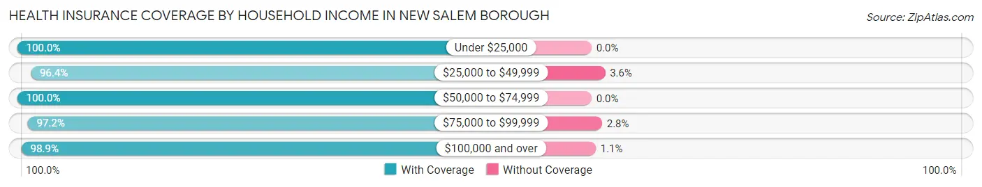 Health Insurance Coverage by Household Income in New Salem borough