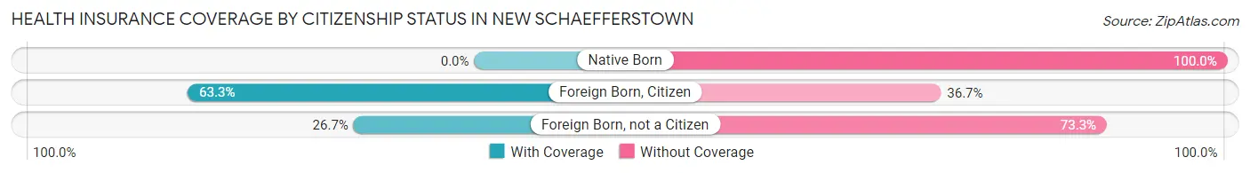 Health Insurance Coverage by Citizenship Status in New Schaefferstown
