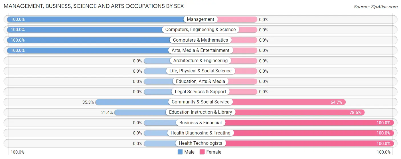 Management, Business, Science and Arts Occupations by Sex in New Schaefferstown